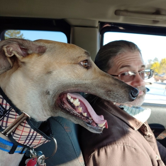 Happy Poshing! - Picture 9 of 13